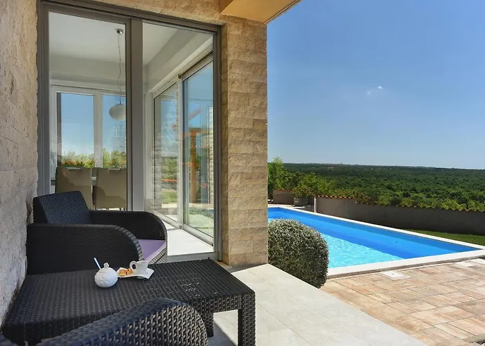 White 바르바리가