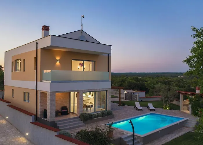 White 바르바리가