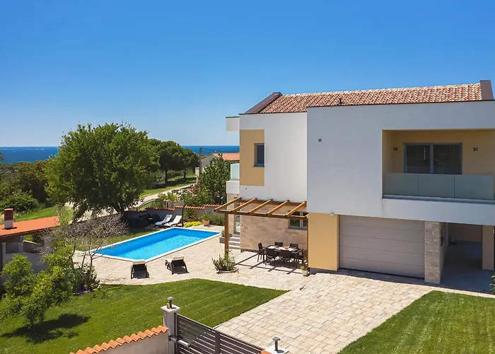 White * 바르바리가